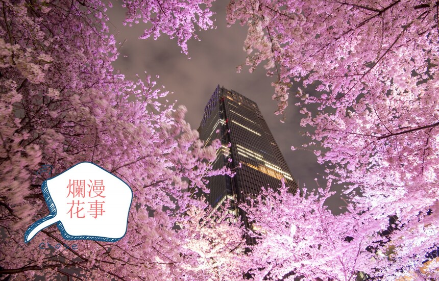 那一场烂漫绯红的「花事」— 东京赏樱名所5星指数推荐