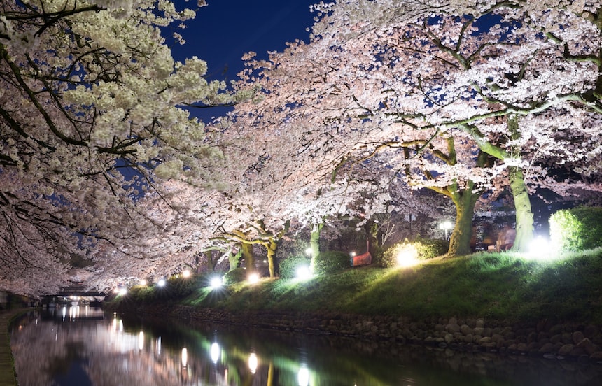 5 Must-See Cherry Blossom Sites in Hokuriku