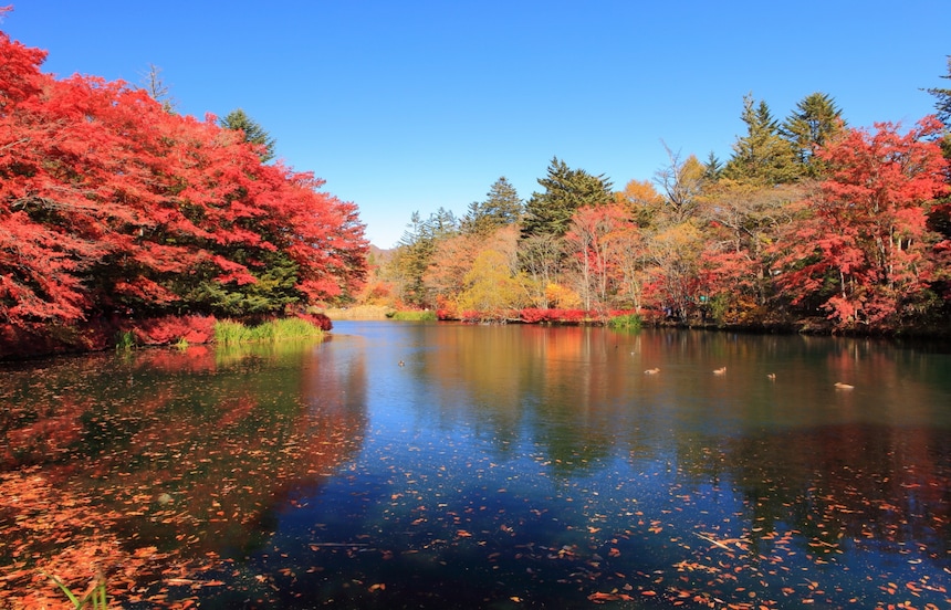5 Outdoor Autumn Activities in Karuizawa