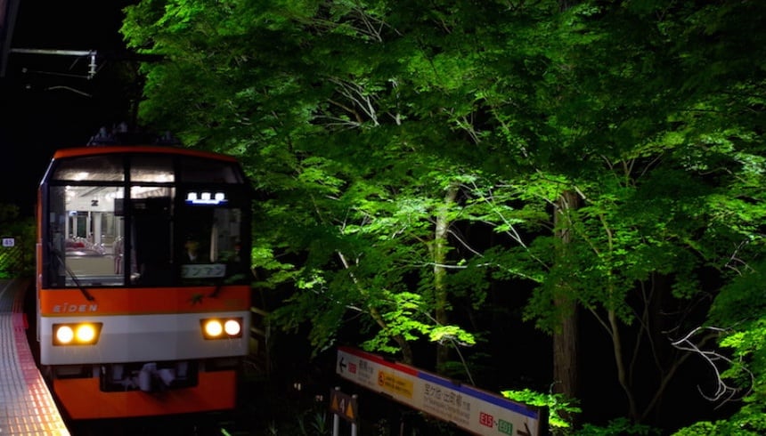 3 Reasons to Visit Kyoto in May