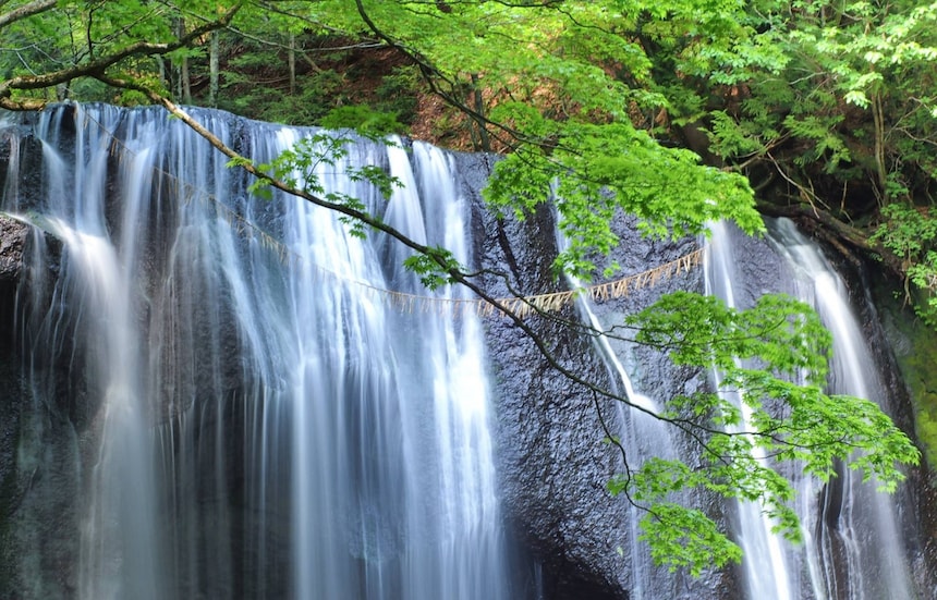 Discover Fresh Greenery in the North of Japan