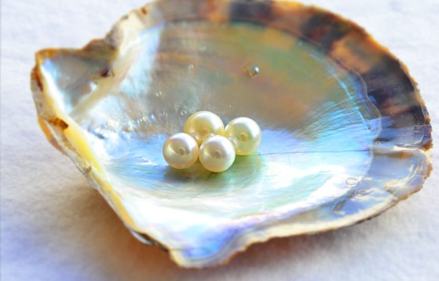 The Secrets of Pearl Harvesting in Japan