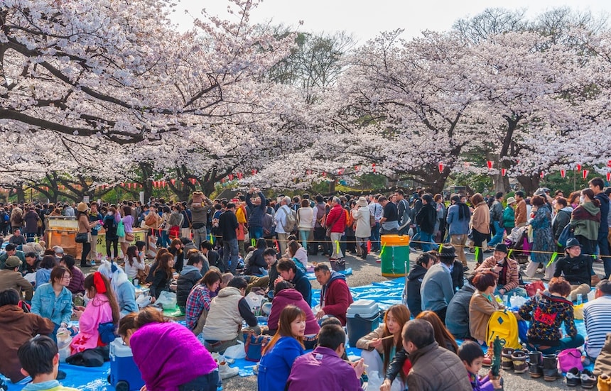 Tokyo Hanami Hot Spot: Ueno Park