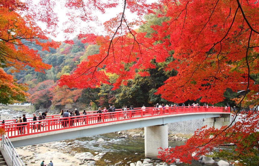 到京都賞楓還不夠！再訪日本一定要知道的東海三大楓紅秘境