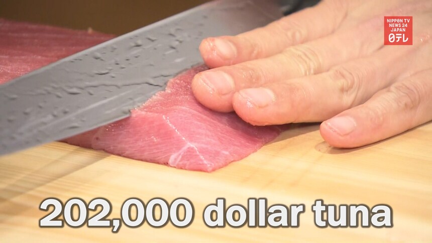 Feeling Hungry? How about a US$200k Tuna?