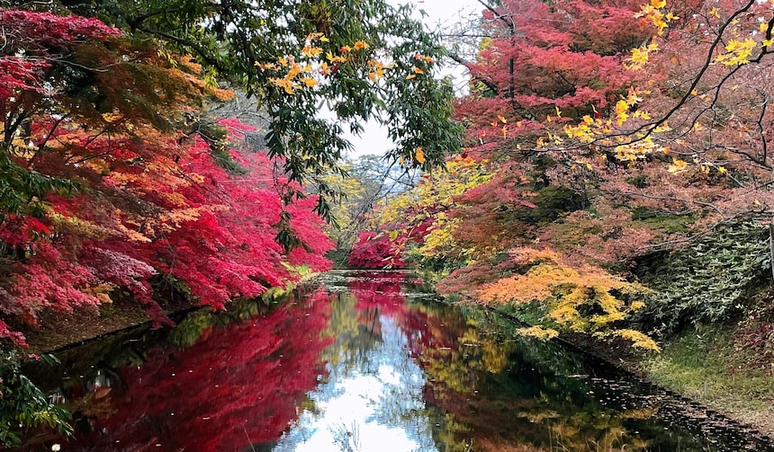 日本自由行：每一张都是绝景！记录青森秋色的“慢”游记