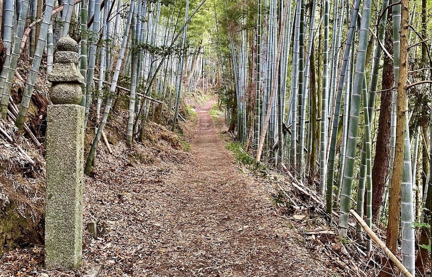 The Road to Koyasan: A One-Day Pilgrimage with Kobo Daishi