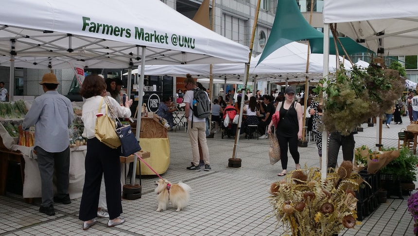 Tokyo's Coolest Farmers Market: A Sustainable Community at UN University