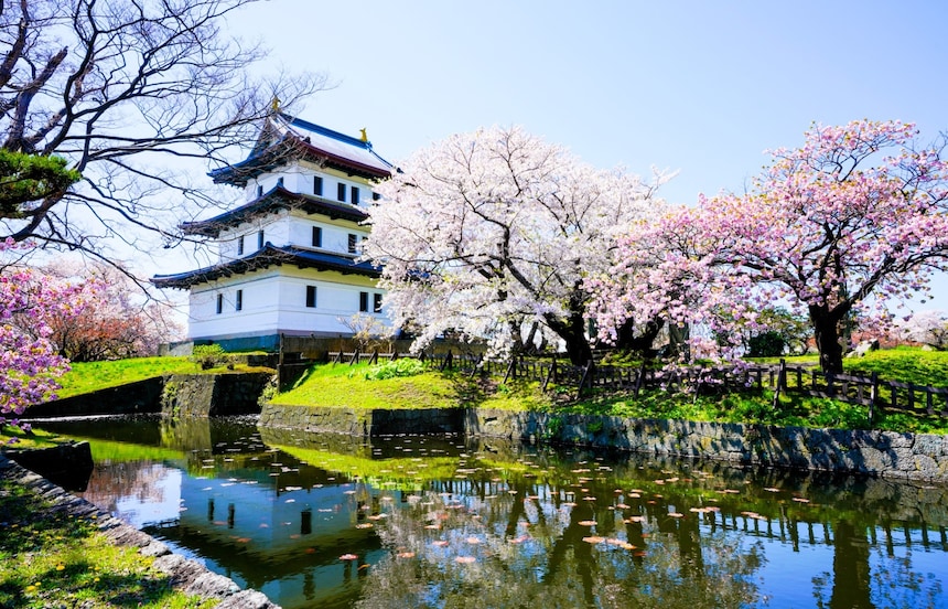 【日本春櫻】從本州到北海道 數大便是美的日本櫻花海賞櫻景點Top5