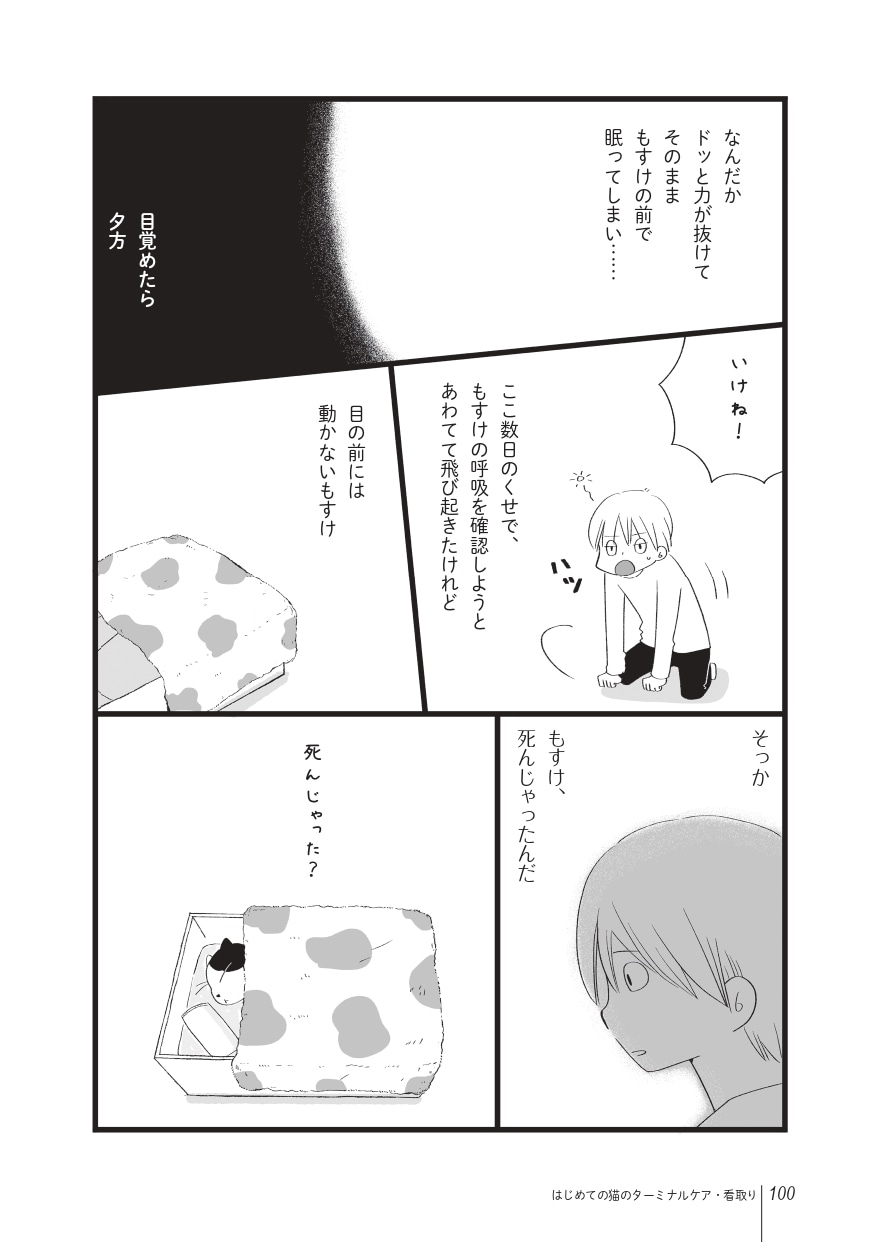 画像出典：『まんがで読む はじめての猫のターミナルケア・看取り』（猫びより編集部、粟田佳織・著、ななおん・まんが／日東書院本社）