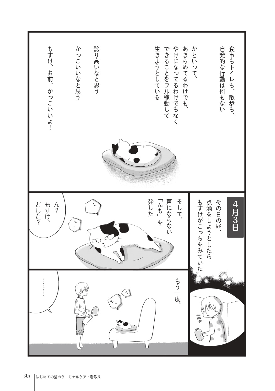 画像出典：『まんがで読む はじめての猫のターミナルケア・看取り』（猫びより編集部、粟田佳織・著、ななおん・まんが／日東書院本社）
