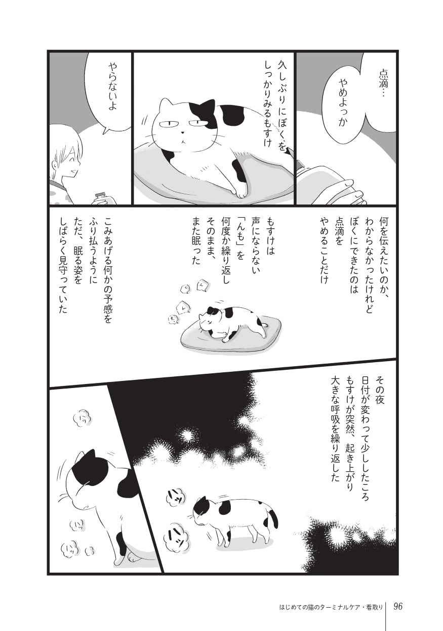 画像出典：『まんがで読む はじめての猫のターミナルケア・看取り』（猫びより編集部、粟田佳織・著、ななおん・まんが／日東書院本社）