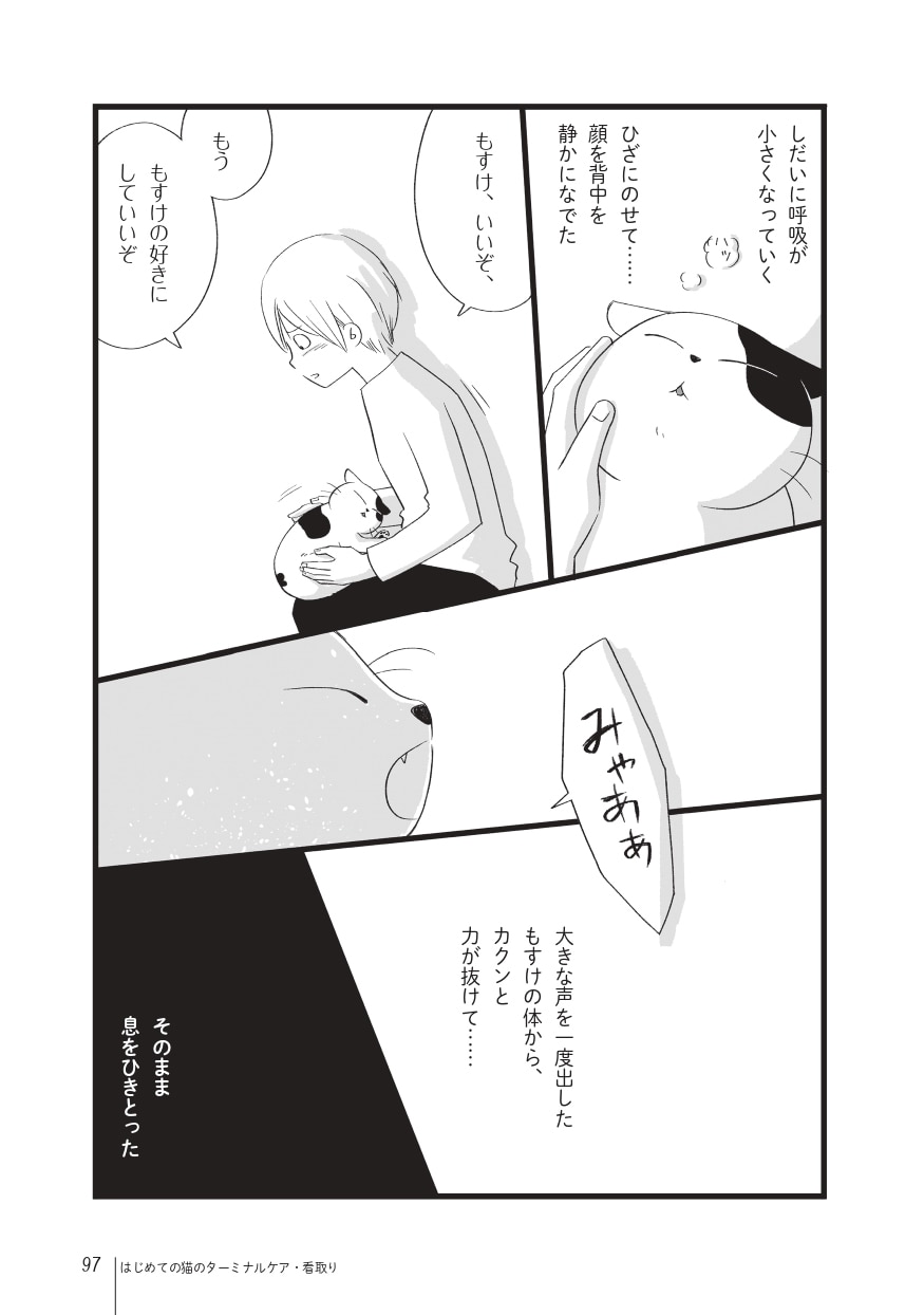 画像出典：『まんがで読む はじめての猫のターミナルケア・看取り』（猫びより編集部、粟田佳織・著、ななおん・まんが／日東書院本社）