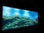 関東最大規模！ アクアワールド大洗水族館