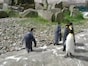 スコットランド エディンバラ動物園