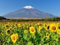 山の日とは？ なぜ8月11日が祝日になった？ 由来・意味を解説