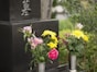 お墓参りに行ってはいけない日・時間とは？ 彼岸明け・夕方はNG？