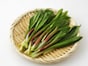 ギョウジャニンニクに似た有毒植物「イヌサフラン」、誤食による死亡例も