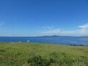 【一生に一度は行きたい離島5選】ウサギの島から最北の“花の島”まで、知る人ぞ知る日本の絶景