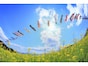 【2025年】5月に株価が上がりやすい業種トップ3！