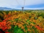 北海道・東北で人気の「紅葉スポット」ランキング！ 2位は「大雪山」、1位は？【専門家の解説も】