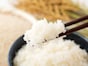新米シーズン到来！いくらだったら購入したい？【クックパッドが1000人に調査】