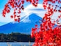 「山梨」に詳しい旅のプロが感動した! 富士山が見える秋の名所3選【2025年最新】