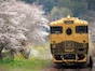 夫婦で1泊6万円「選んだ電車が大正解だった」年4回以上旅する69歳男性の湯布院温泉旅