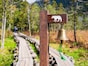 鈴の効果ゼロ、人間から「リターンがある」と学習し襲うクマも。4タイプで見るクマの危険性【図解】