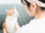 7年前からの積立は＋123万円「飼い猫のために使った。あとは老後資金に」年収300万円・48歳女性のNISA