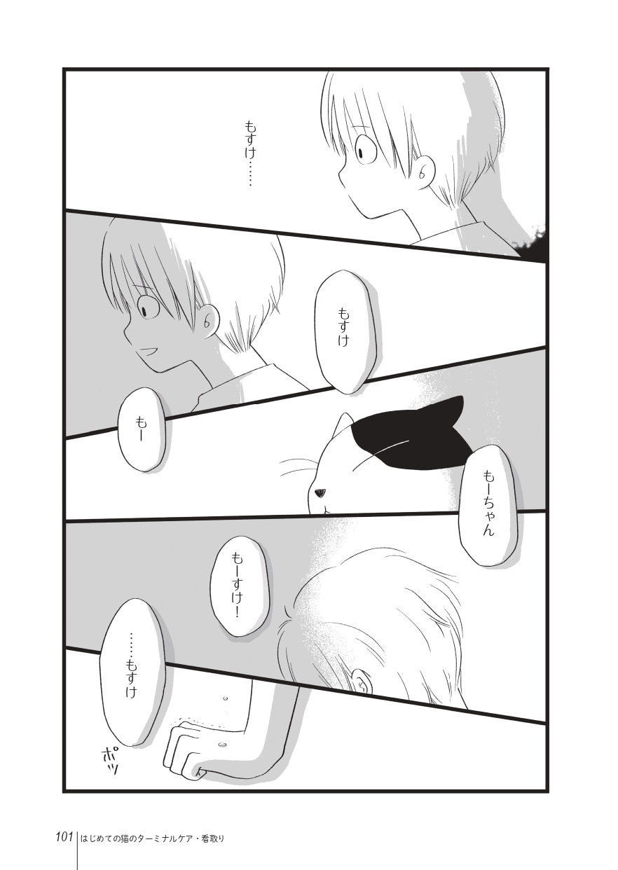 画像出典：『まんがで読む はじめての猫のターミナルケア・看取り』（猫びより編集部、粟田佳織・著、ななおん・まんが／日東書院本社）