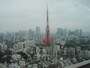 屋上のティアラデッキから東京タワー方向を望む