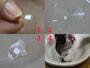 1.粉薬や飲みにくい錠剤はカプセルに入れて　2.オブラートに乗せて　3.包んで缶詰の汁にひたします　4.舐めて飲み込ませます