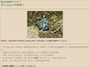 身近な自然で遊ぼ！ダンゴムシ大研究