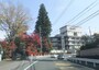 袋田温泉