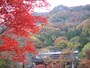 袋田の滝周辺の紅葉（1）