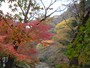 袋田の滝周辺の紅葉（2）