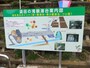 袋田の滝トンネルと観瀑台の案内図