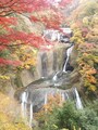 袋田の滝（2）／紅葉・黄葉