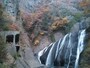 袋田の滝（8）／紅葉・黄葉