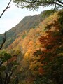 袋田の滝周辺の紅葉（3）／月居山ハイキングコース