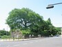 外濠の石垣が今も残っている