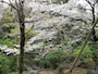 今は人口の池がつくられている。