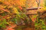 日本の紅葉が美しいのは理由がありあります