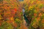 昼間お日様を浴びて夜は冷え込み、水分も豊富。３拍子揃った渓谷は、紅葉も見事！