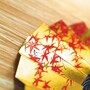 鬼女・紅葉が舞う「紅葉狩」は、立ち回りも多くダイナミック！能の初心者でも楽しめる演目として人気があります。秋に上演されることが多いので、能に親しむきっかけにどうぞ