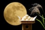 十五夜(15夜)・中秋の名月…今日は十五夜、何する？食べ物・団子・お供え