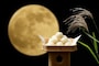十五夜(15夜)・中秋の名月…今日は十五夜、何する？食べ物・団子・お供え