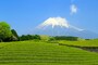 ニュースなどで見聞きする「八十八夜」ってなに？