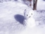 雪の名前・異称・表現100選
